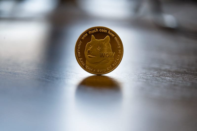 Dogecoin – Can I make Money with it? (Daily Value)